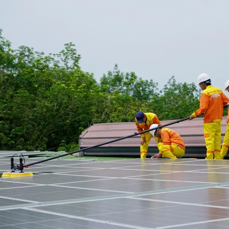 terceirização de limpeza